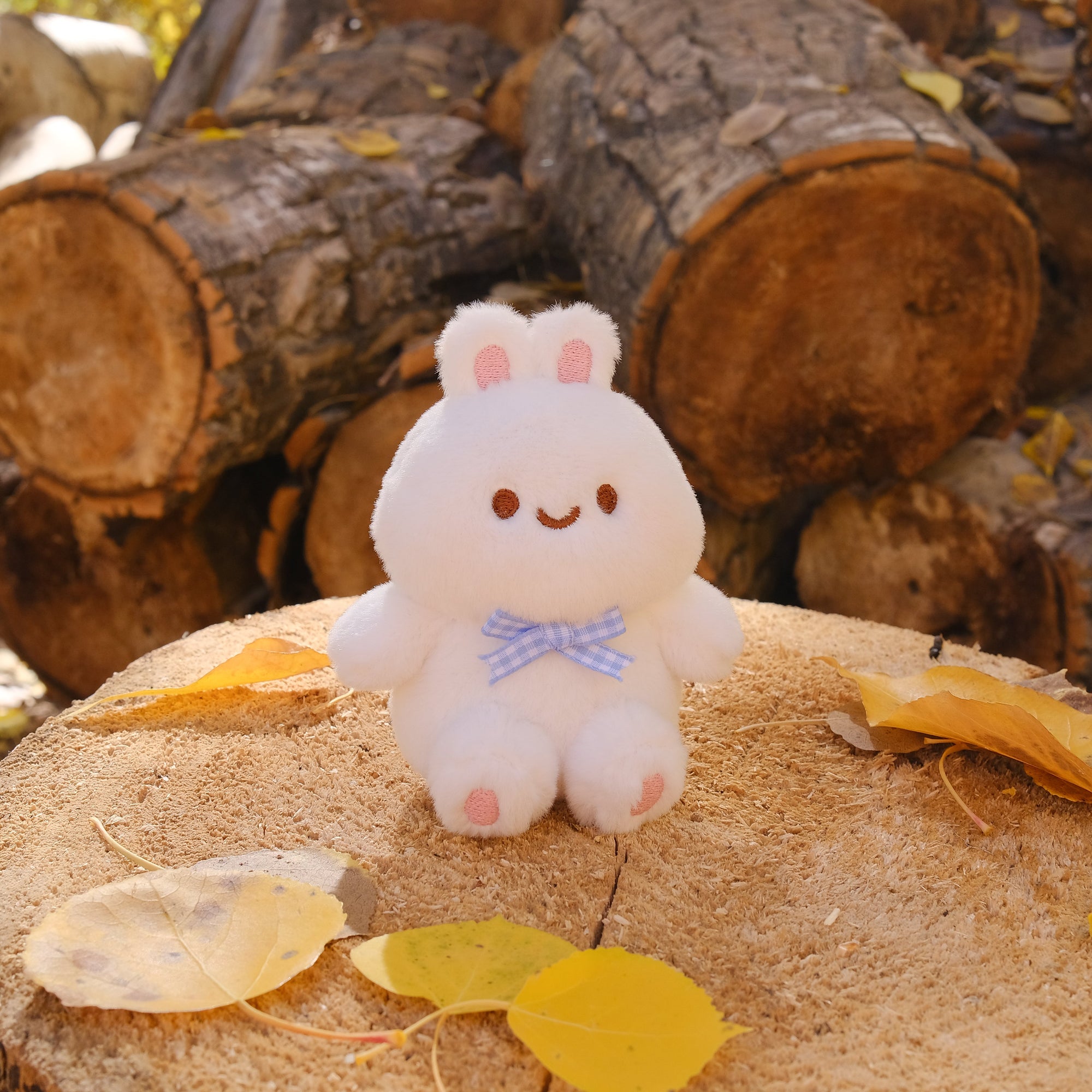 Plush Toy