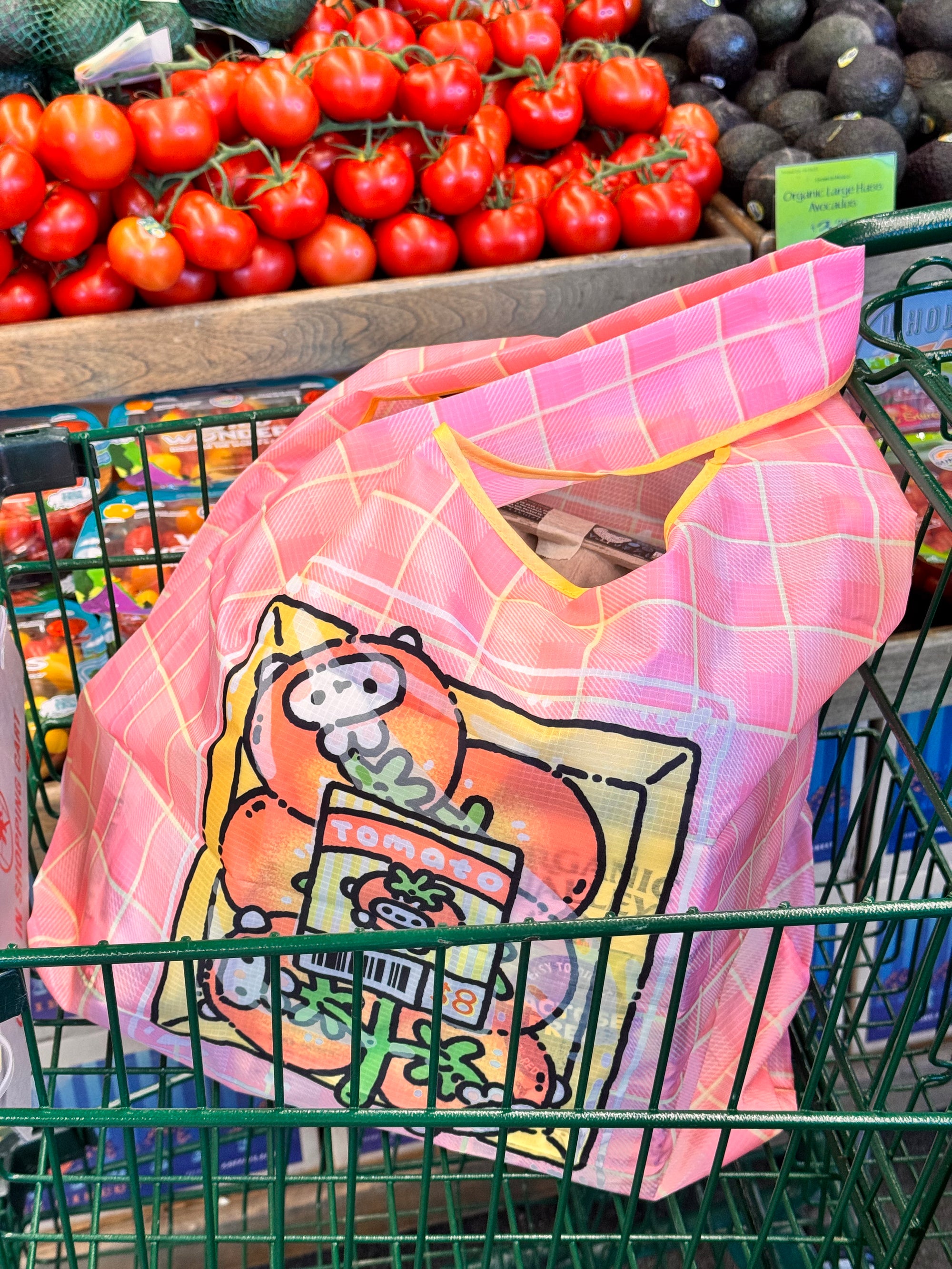 Foldable Grocery Bag